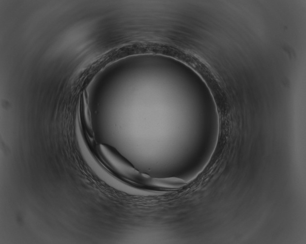 X0000090970919200708021434