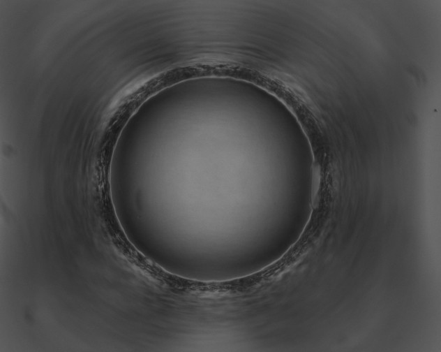 X0000090970920200708021434