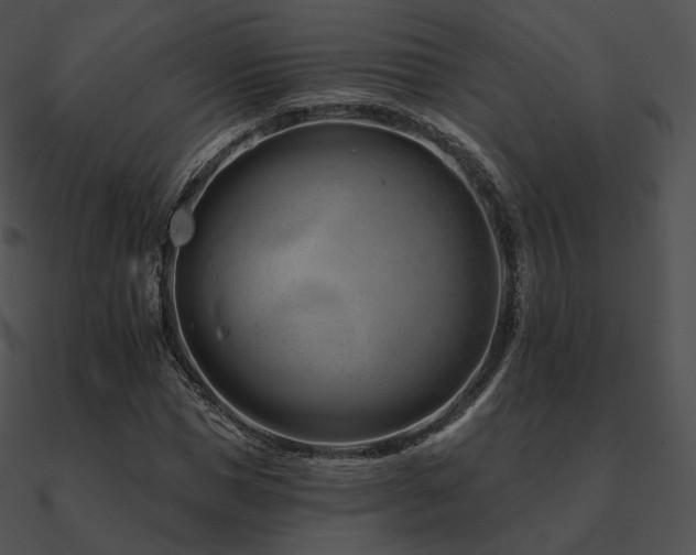 X0000090970921200708021434