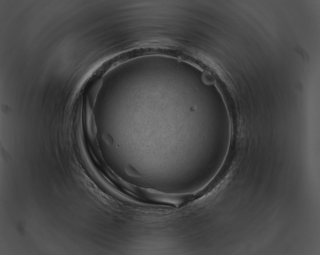 X0000090970923200708021434