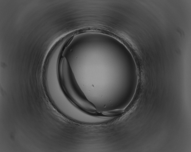 X0000090970924200708021434