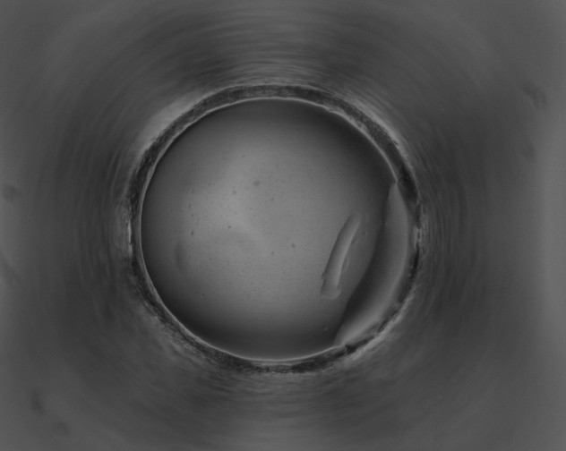 X0000090970925200708021434