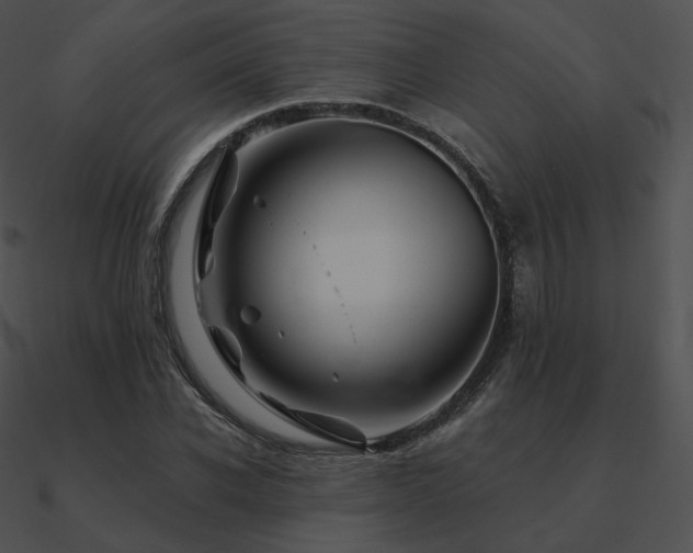 X0000090970926200708021434