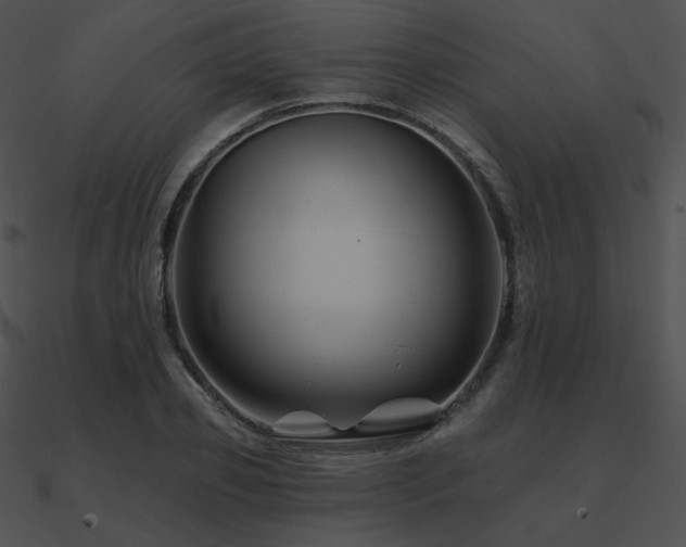 X0000090970933200708021434