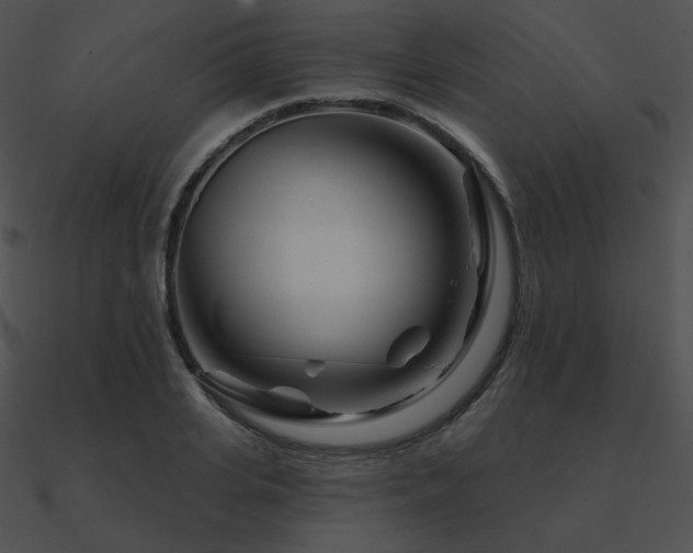 X0000090970935200708021434