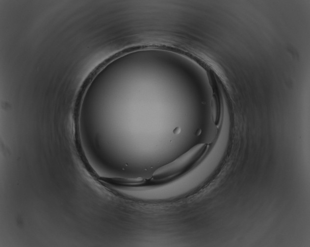 X0000090970936200708021434