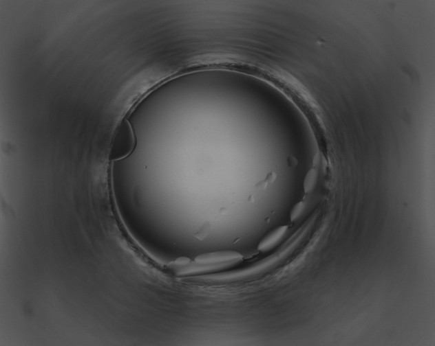 X0000090970937200708021434