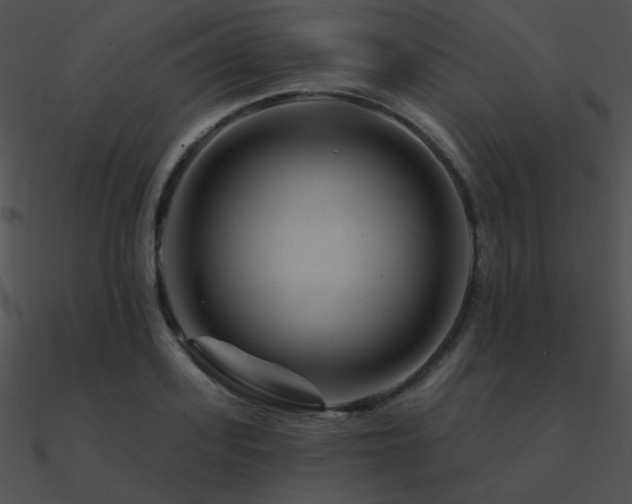 X0000090970939200708021434