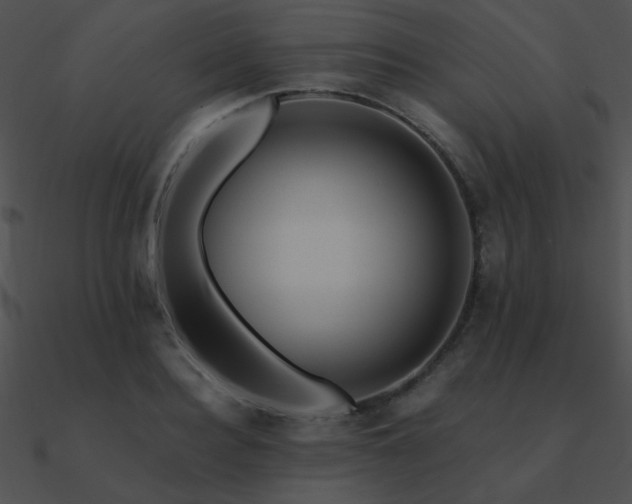 X0000090970940200708021434