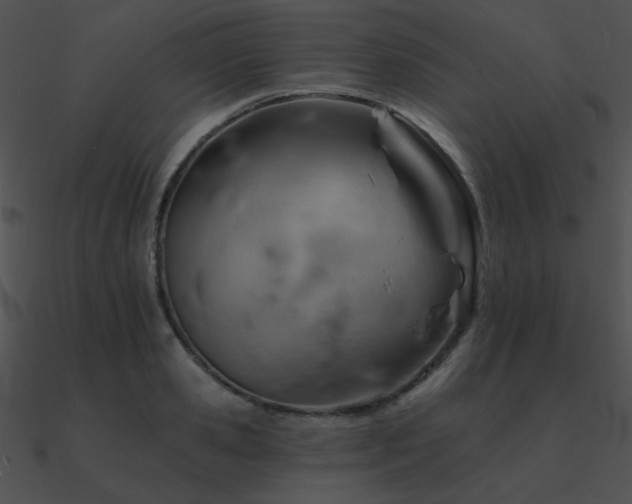 X0000090970941200708021434