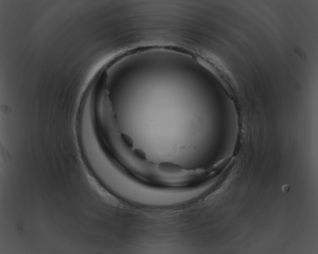 X0000090970942200708021434