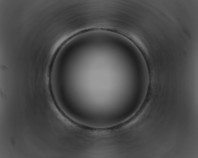 X0000090970944200708021434