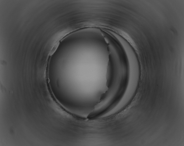 X0000090970946200708021434