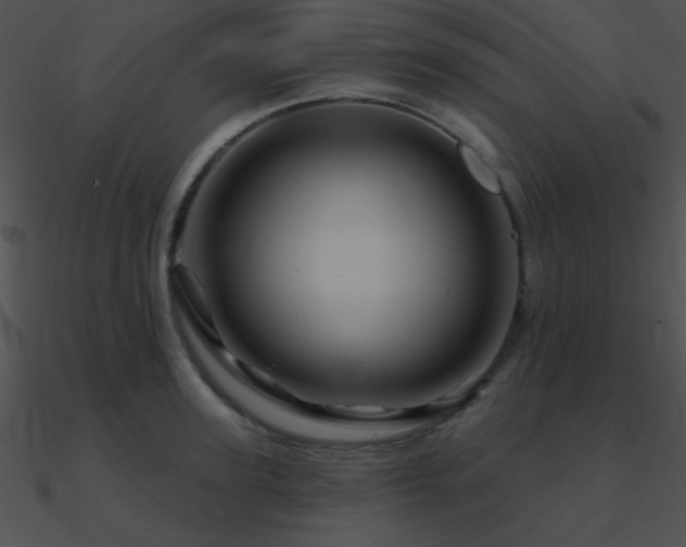 X0000090970947200708021434