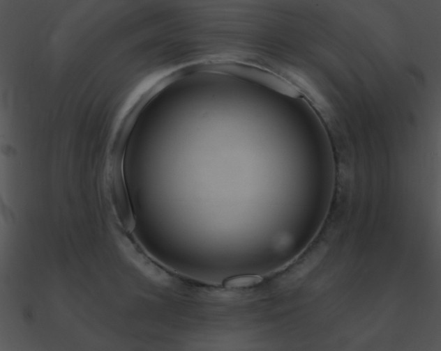 X0000090970948200708021434