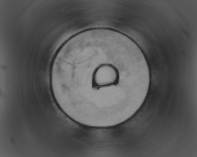 X0000090970950200708021434