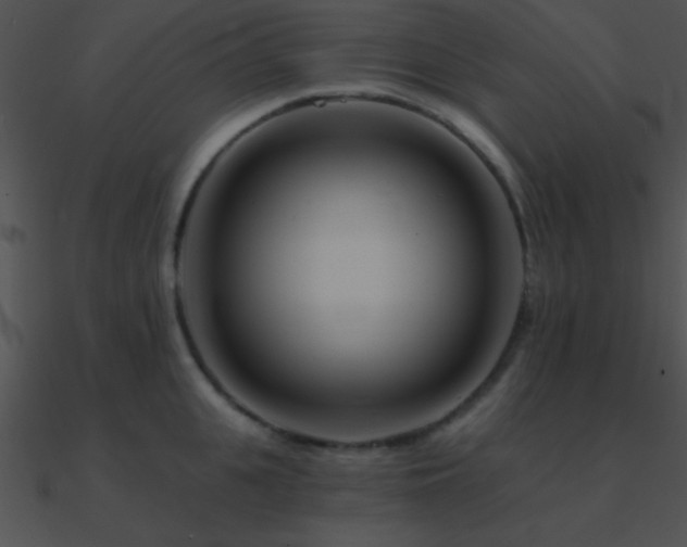 X0000090970951200708021434