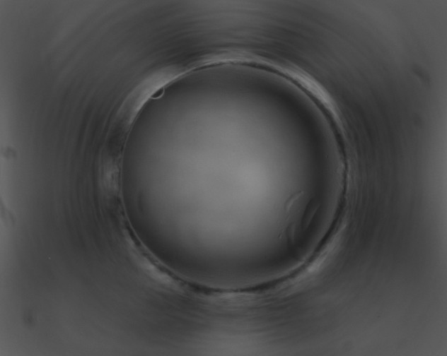 X0000090970953200708021434