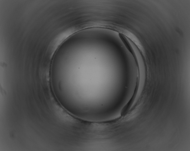 X0000090970954200708021434