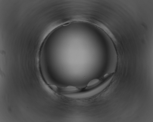 X0000090970955200708021434