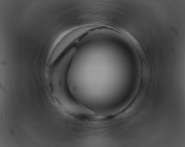 X0000090970956200708021434