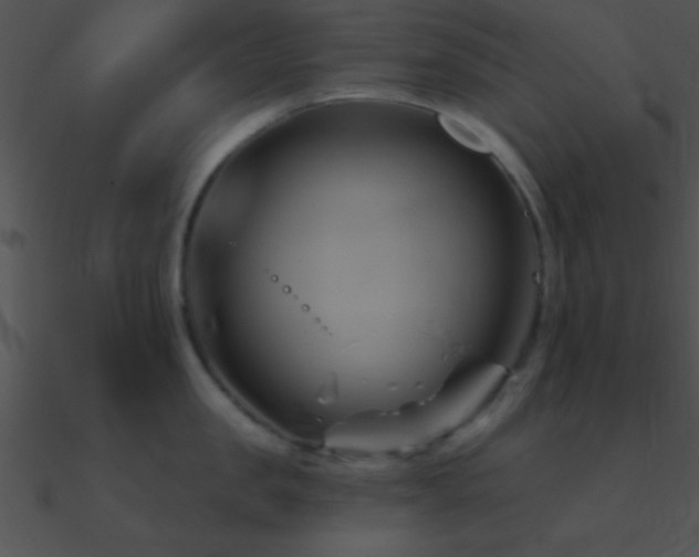 X0000090970957200708021434