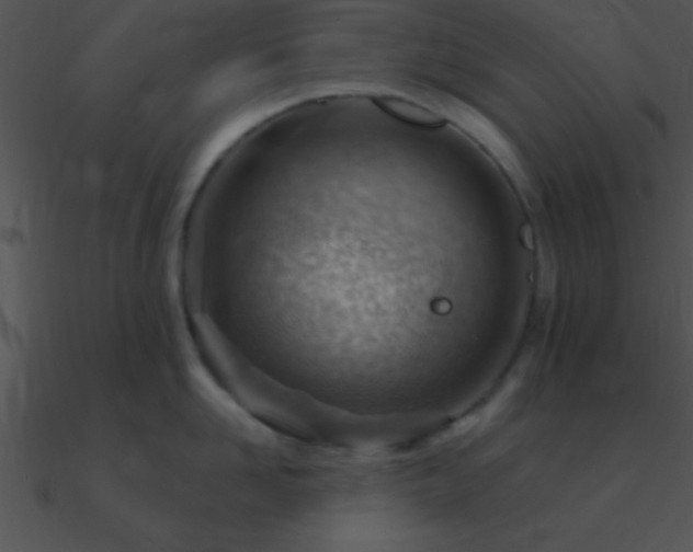 X0000090970958200708021434