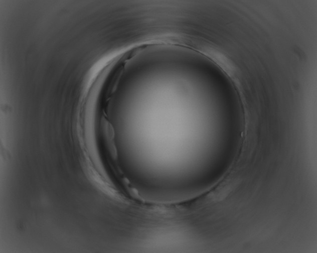 X0000090970960200708021435