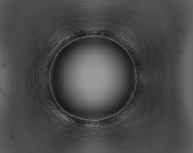 X0000090970961200708021434