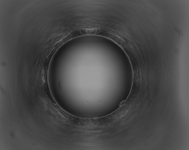 X0000090970962200708021434