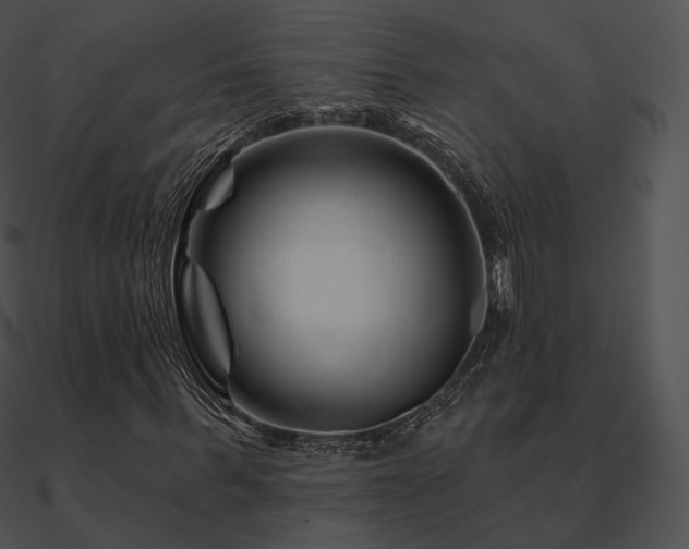 X0000090970963200708021434