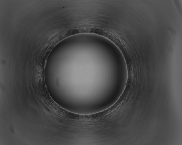 X0000090970964200708021434