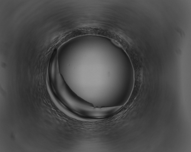 X0000090970965200708021434