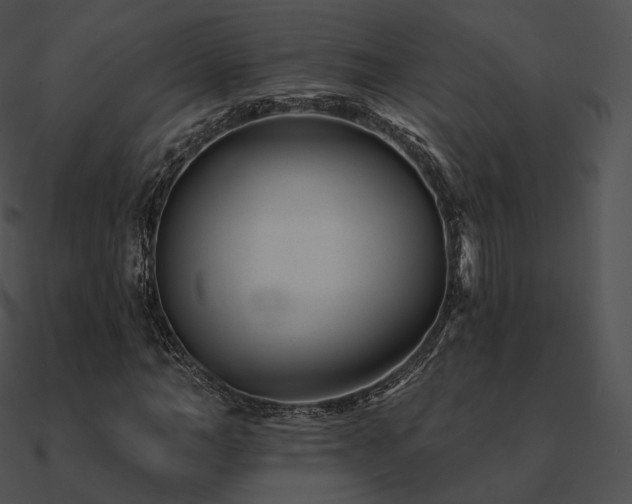 X0000090970966200708021434