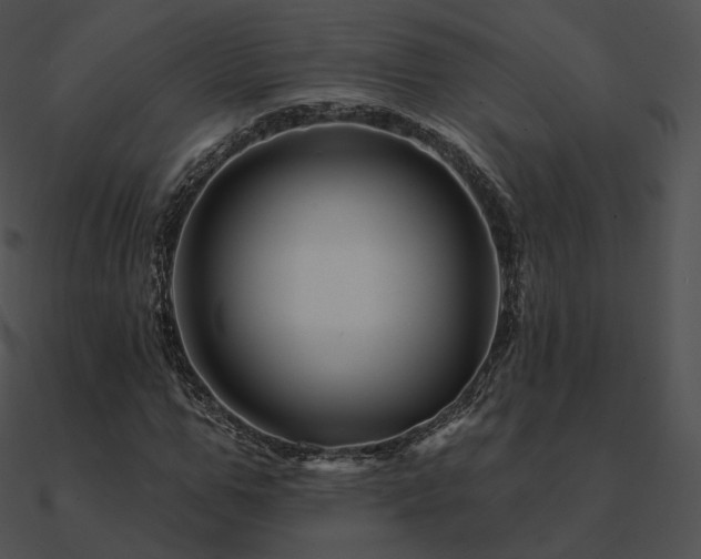 X0000090970967200708021434