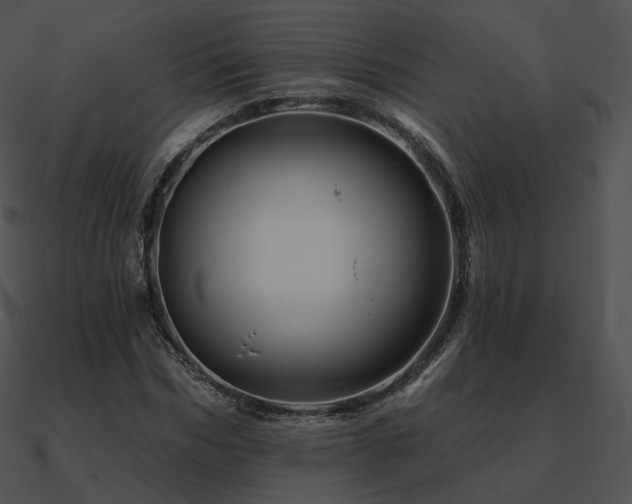 X0000090970970200708021434