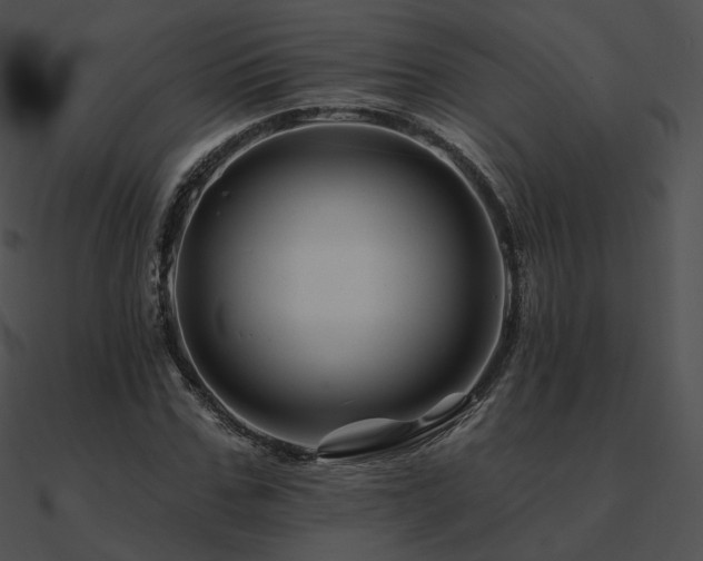 X0000090970971200708021434