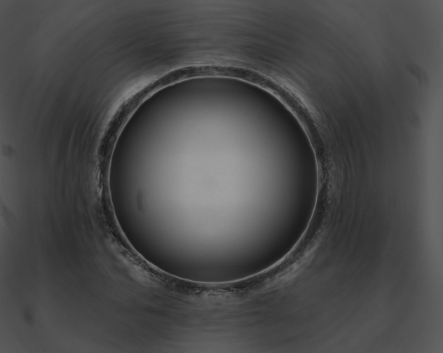 X0000090970974200708021434