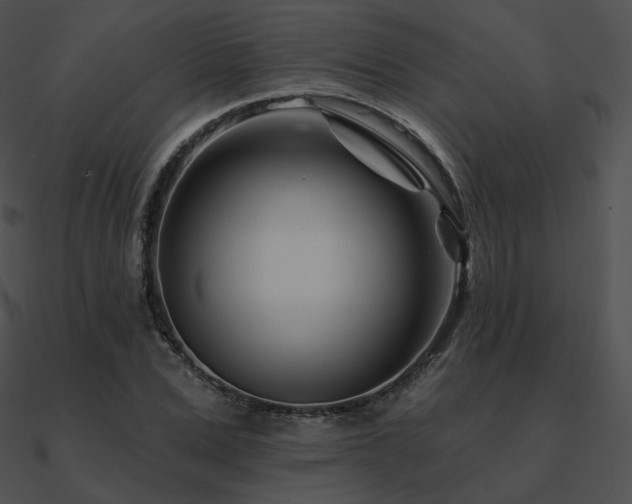 X0000090970975200708021434