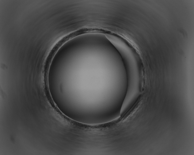 X0000090970976200708021434