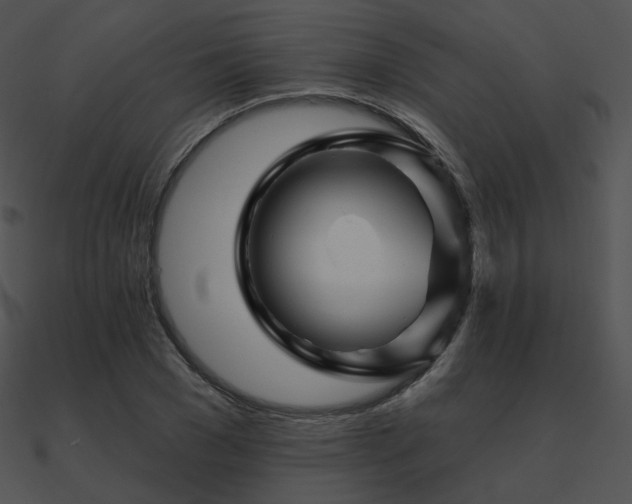 X0000090970977200708021434