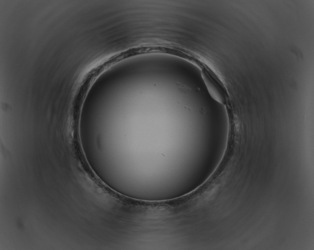 X0000090970979200708021434