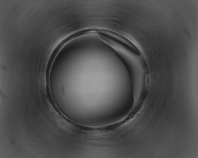 X0000090970980200708021434