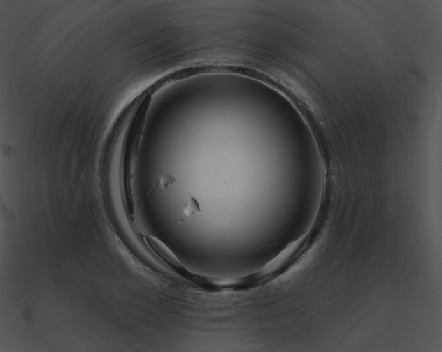 X0000090970981200708021434