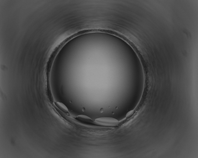 X0000090970982200708021434