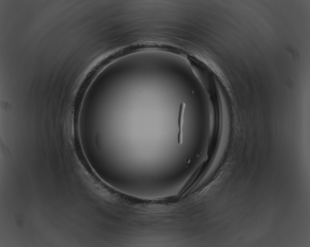 X0000090970984200708021434