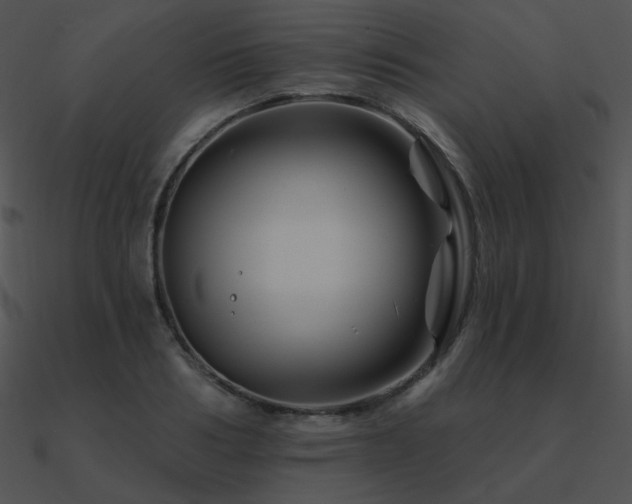 X0000090970986200708021434