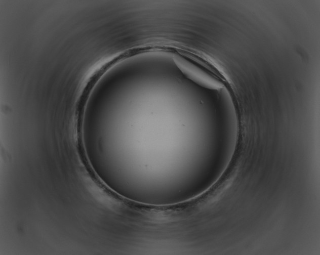 X0000090970987200708021434