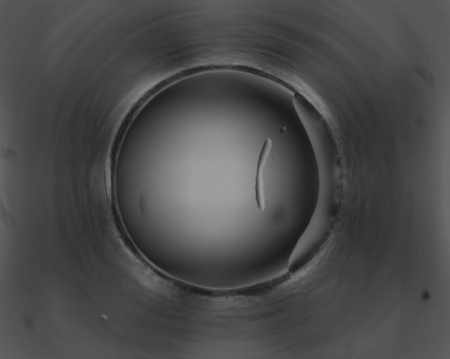 X0000090970988200708021433