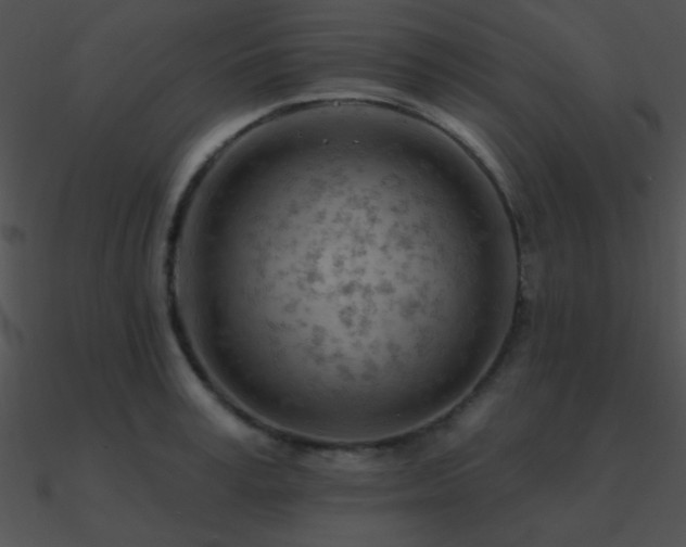 X0000090970995200708021433